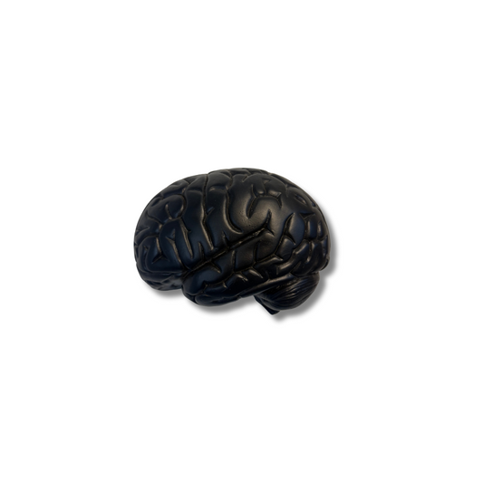 Ceramic Brain Black Wall Sculpture