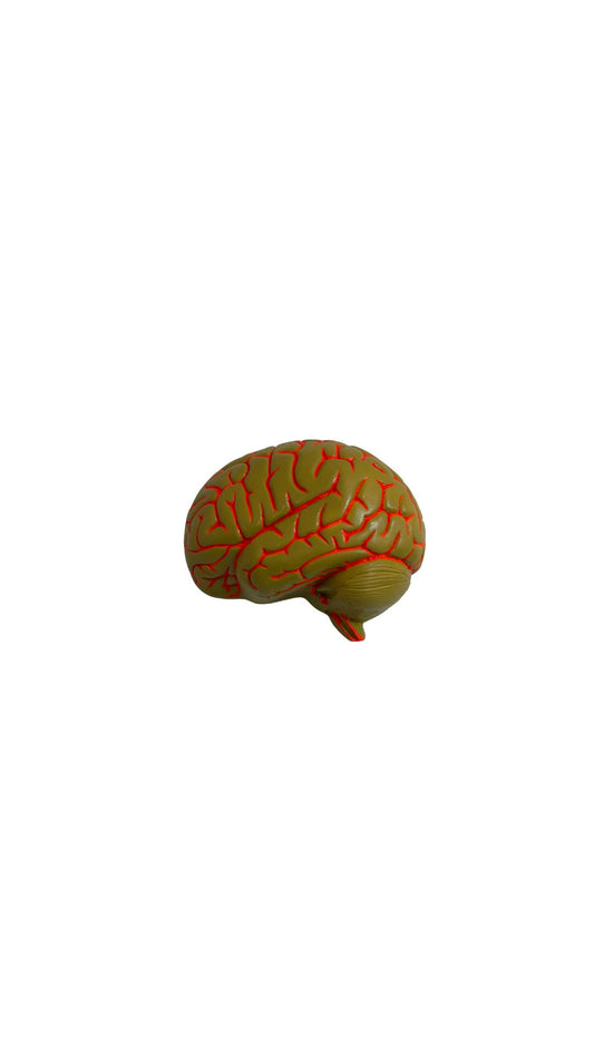 Ceramic Brain  Mustard Yellow Wall Sculpture