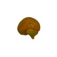 Ceramic Brain  Mustard Yellow Wall Sculpture