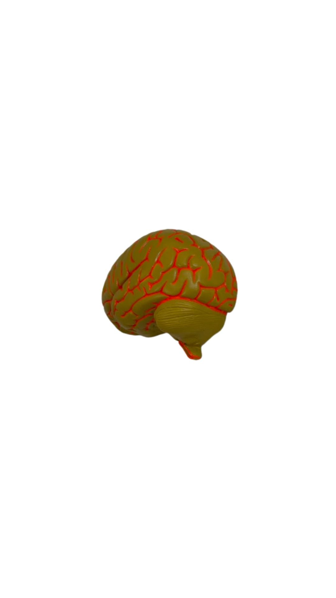 Ceramic Brain  Mustard Yellow Wall Sculpture