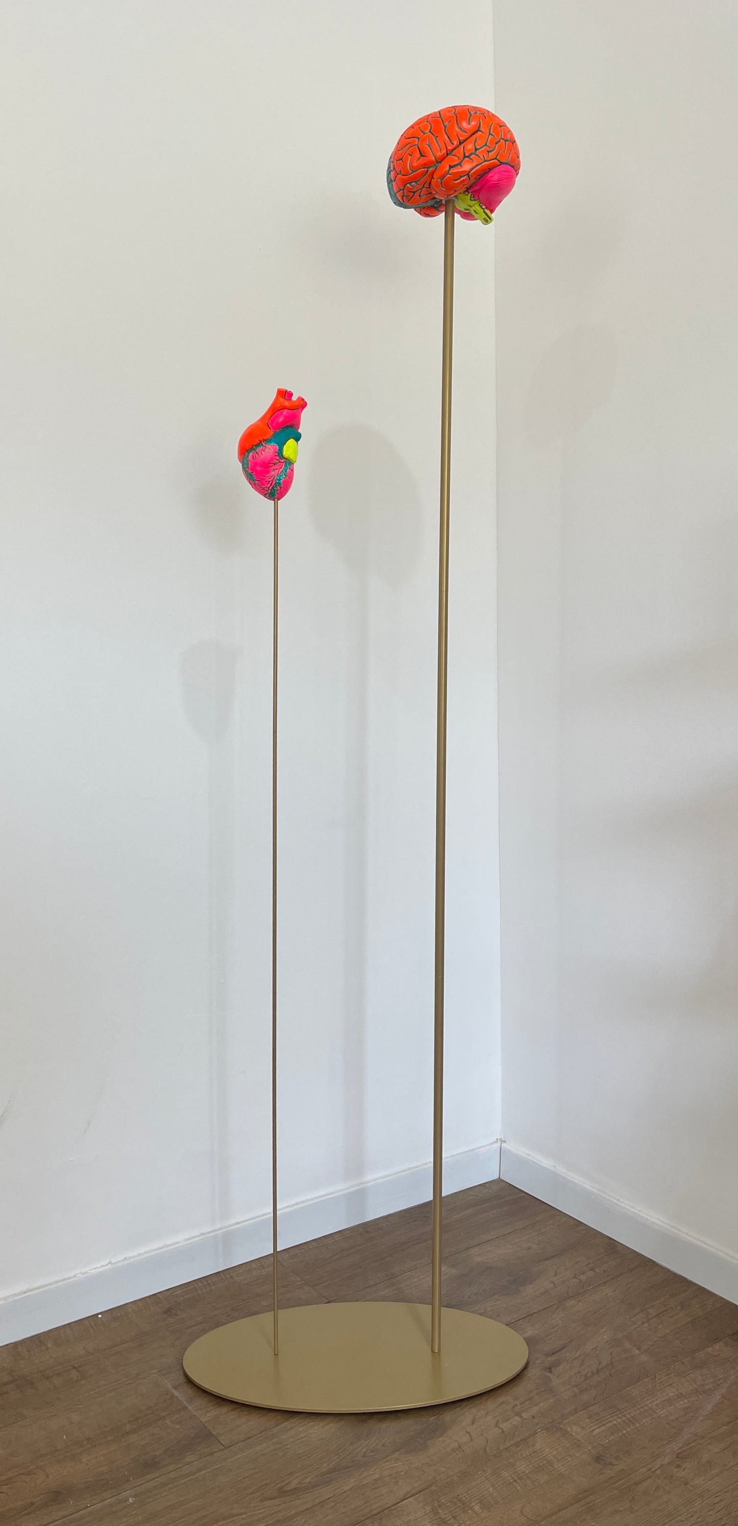 Oxymoron - Heart and Brain Kinetic Sculpture