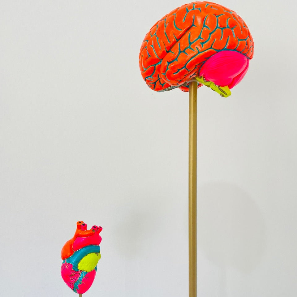 Oxymoron - Heart and Brain Kinetic Sculpture